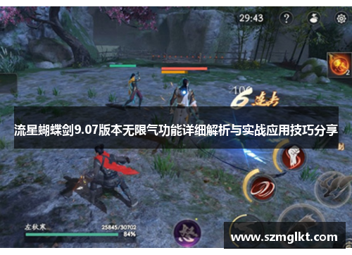 流星蝴蝶剑9.07版本无限气功能详细解析与实战应用技巧分享